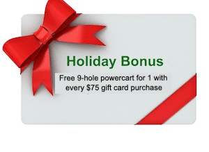 Holiday Bonus